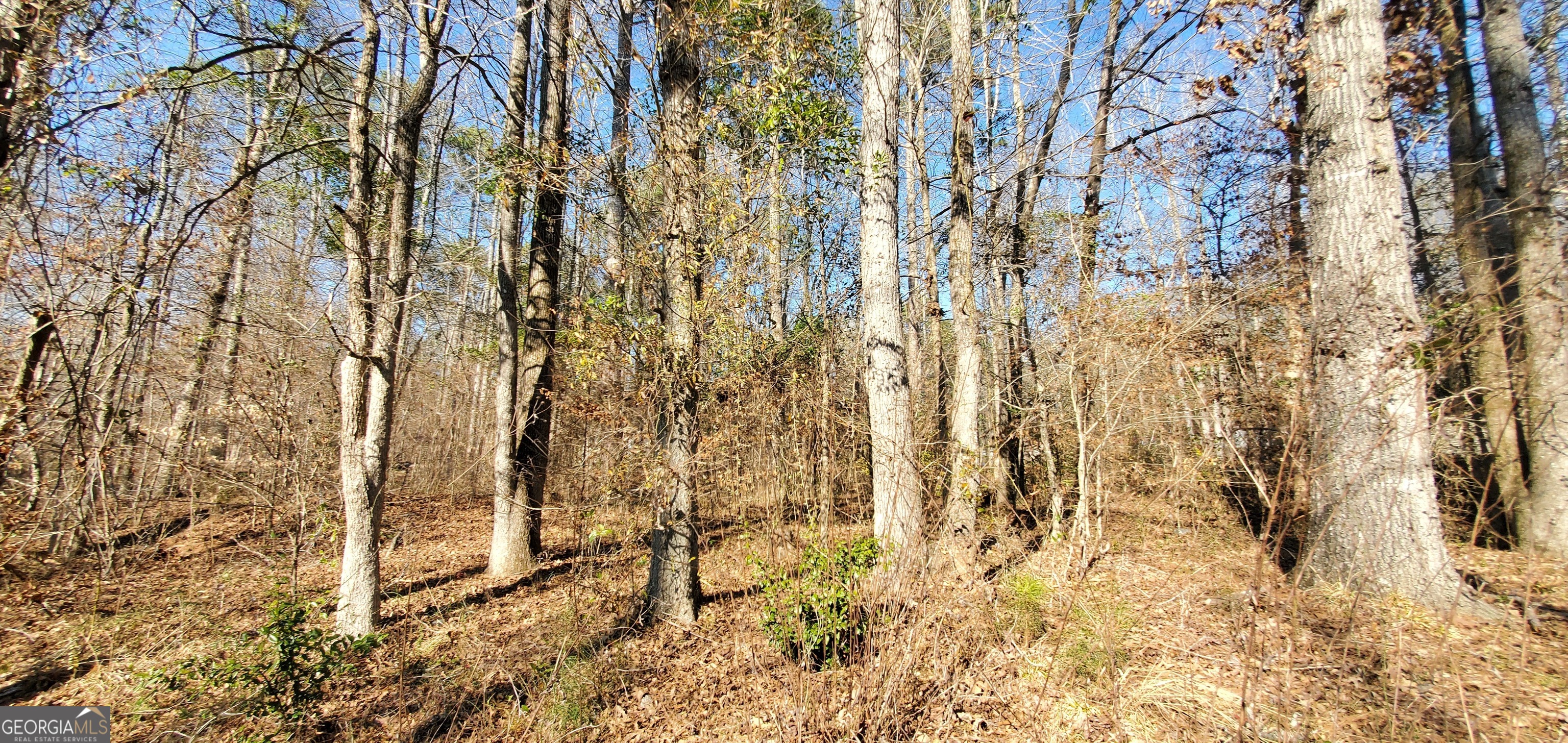 Lot 184 Southern Shores Road Jackson, GA 30233 - Photo 12 of 16 a view of a pathway of a yard