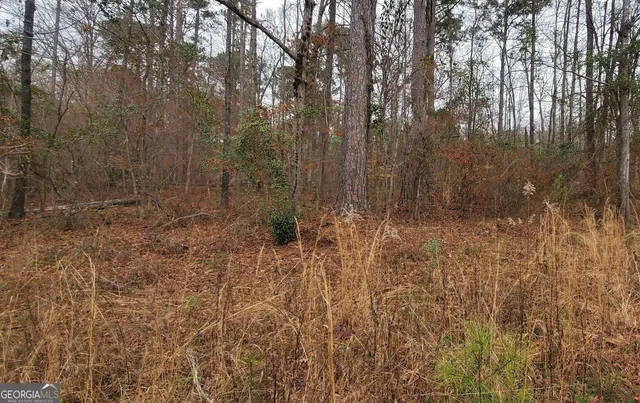 a view of swimming pool