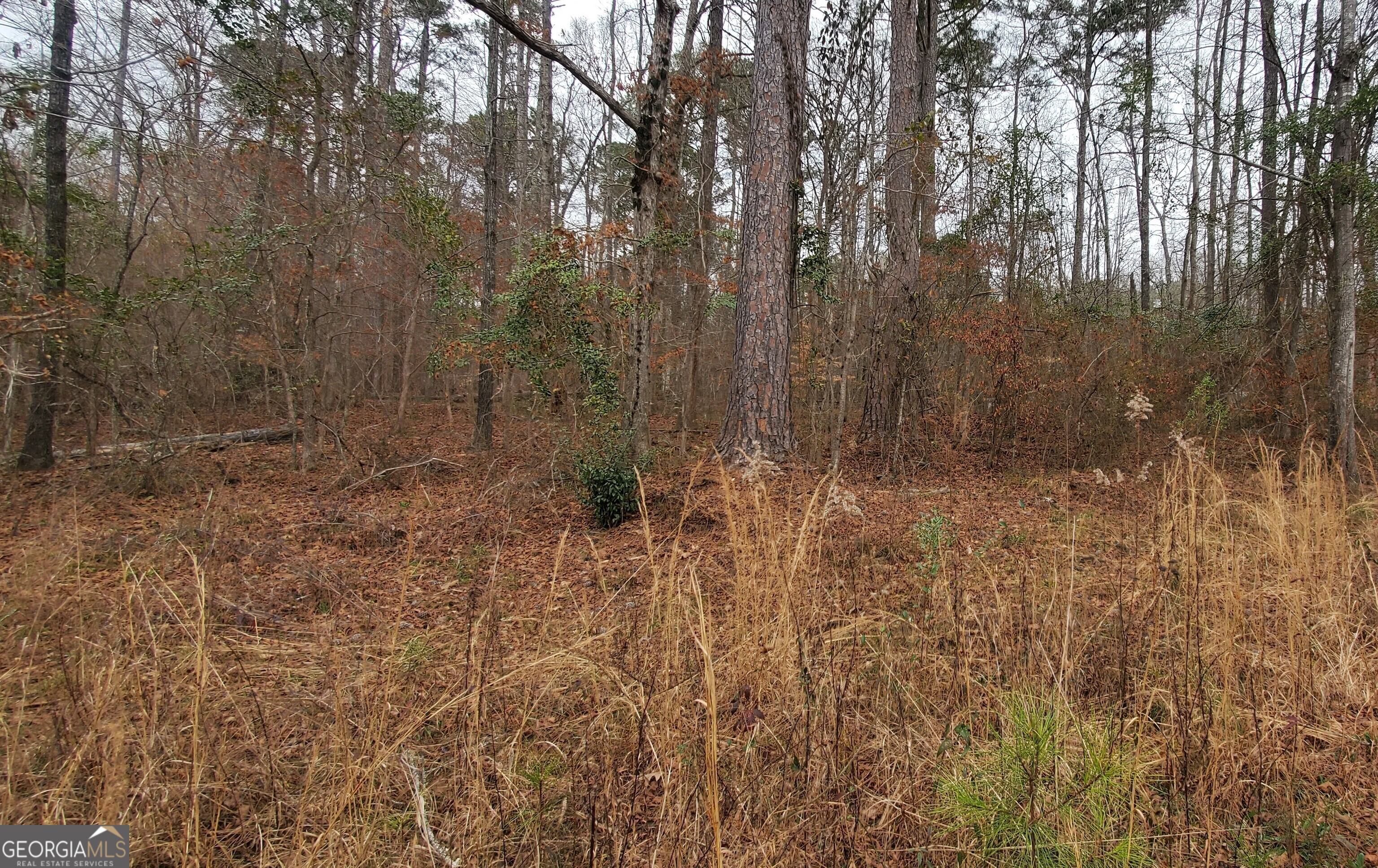 Lot 184 Southern Shores Road Jackson, GA 30233 - Photo 15 of 16 a view of a yard