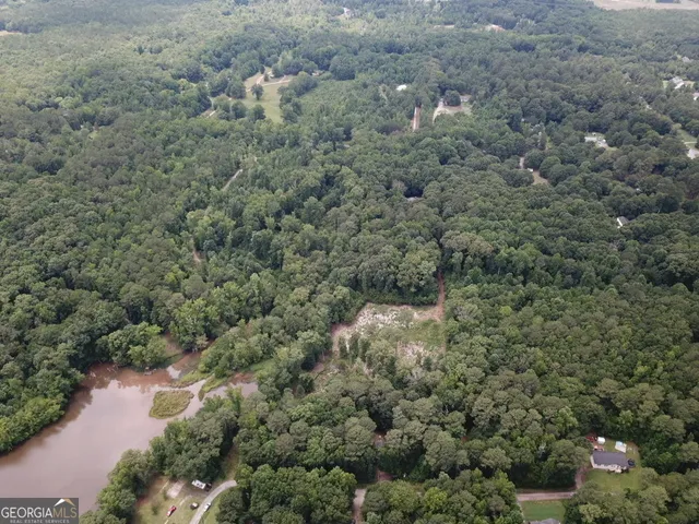 a view of a forest with a street