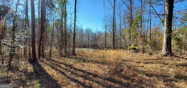 a view of backyard with green space
