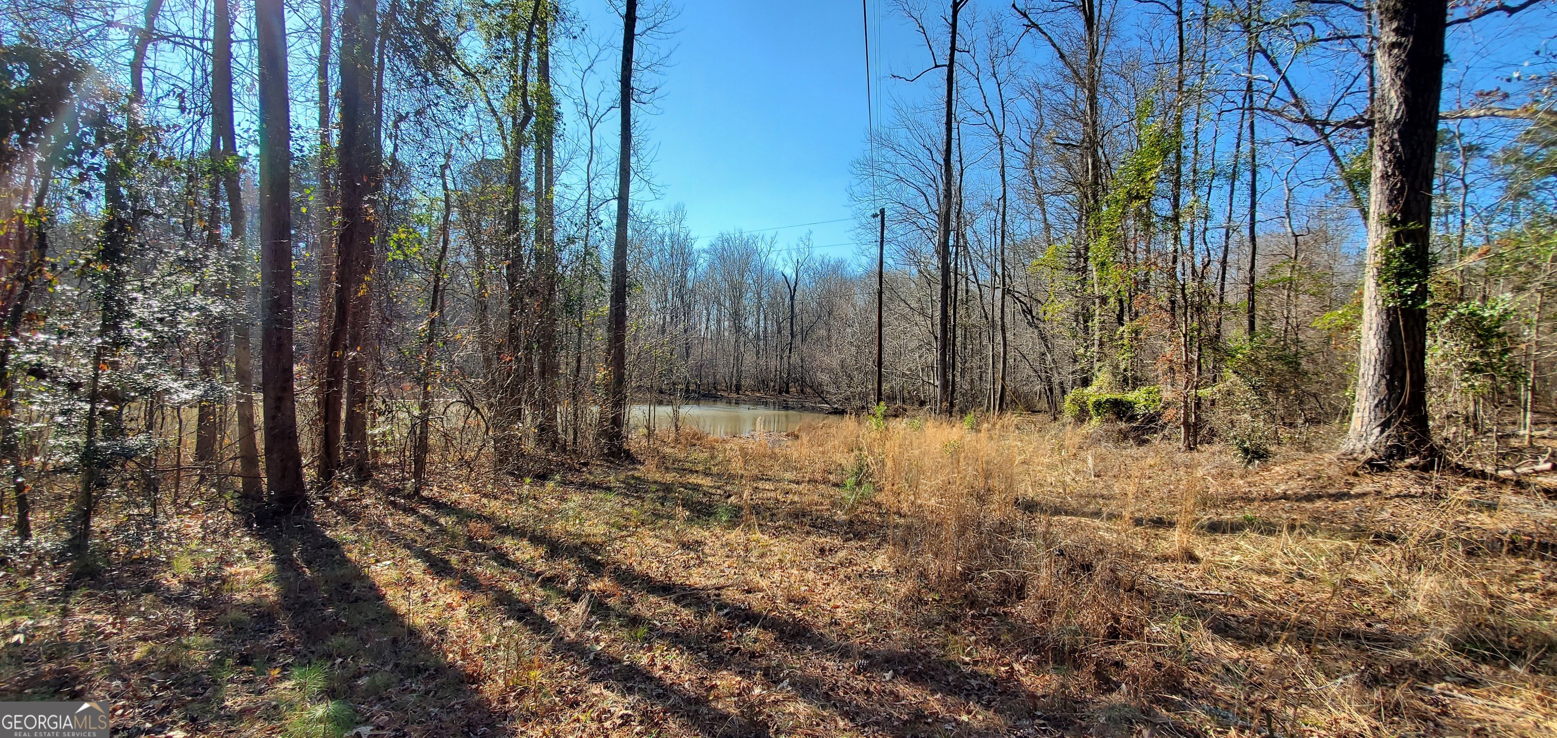 Lot 184 Southern Shores Road Jackson, GA 30233 - Photo 9 of 16 a view of backyard with green space
