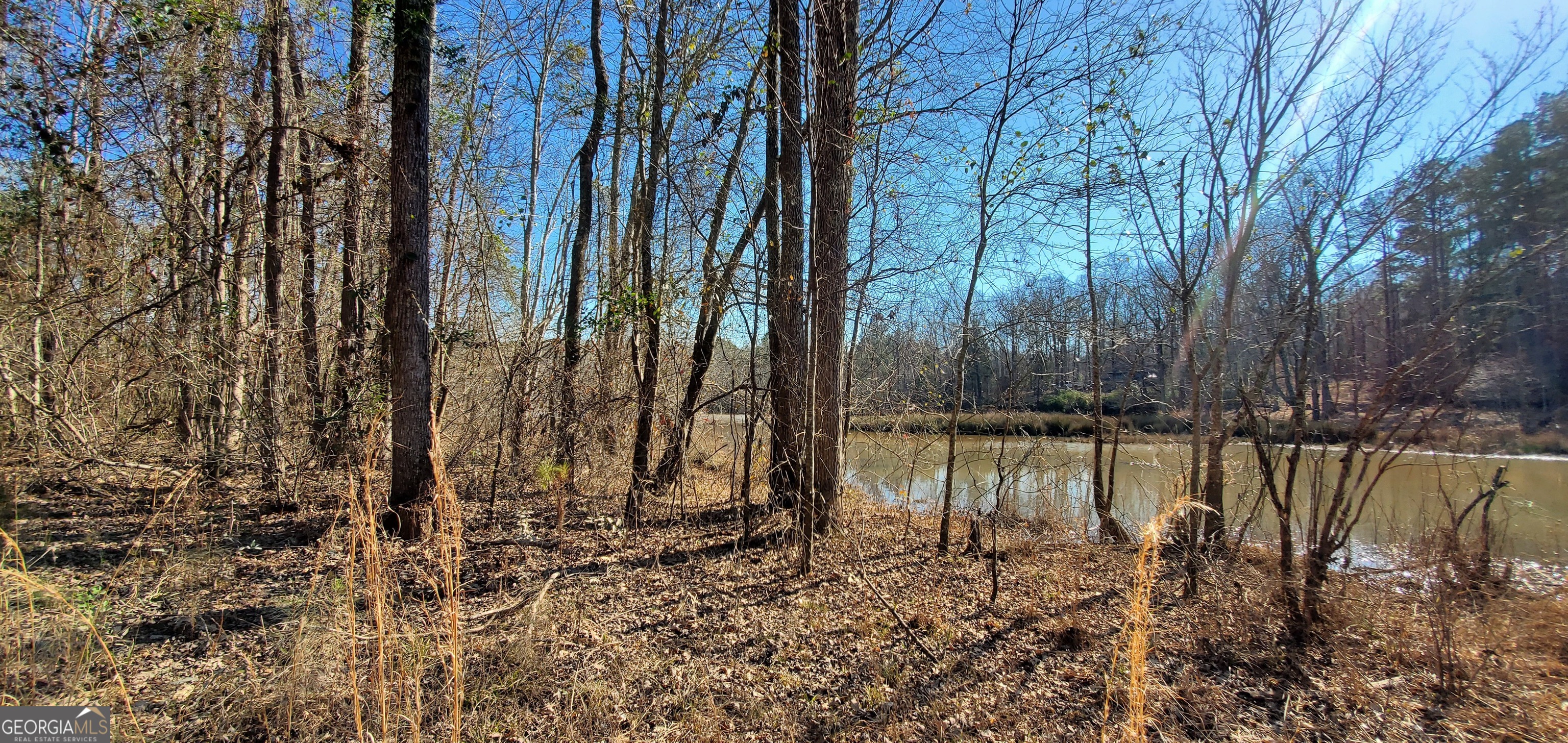 Lot 184 Southern Shores Road Jackson, GA 30233 - Photo 10 of 16 a lake with trees in the background
