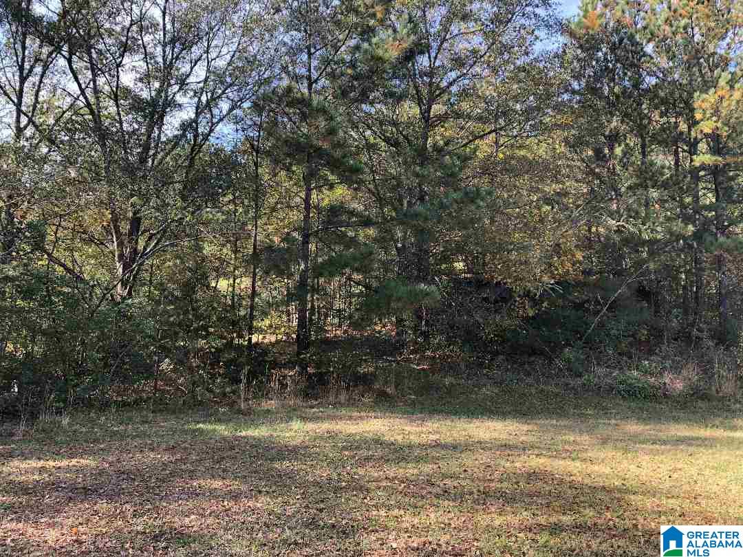 980 Turner Road, Unit ADJOINING PARCELS Anniston, AL 36201 - Photo 2 of 17