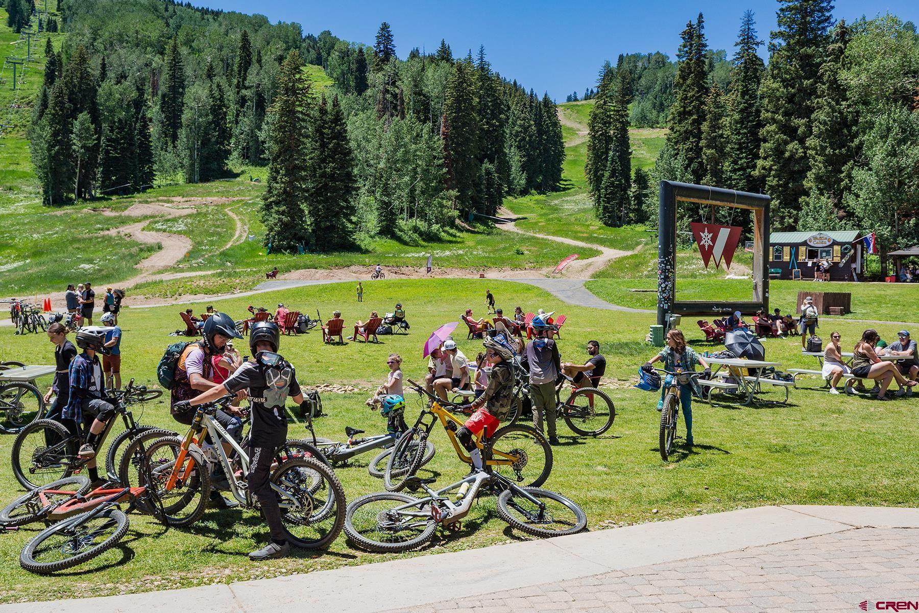 71 Needles Way, Unit 443 Durango, CO 81301 - Photo 19 of 26