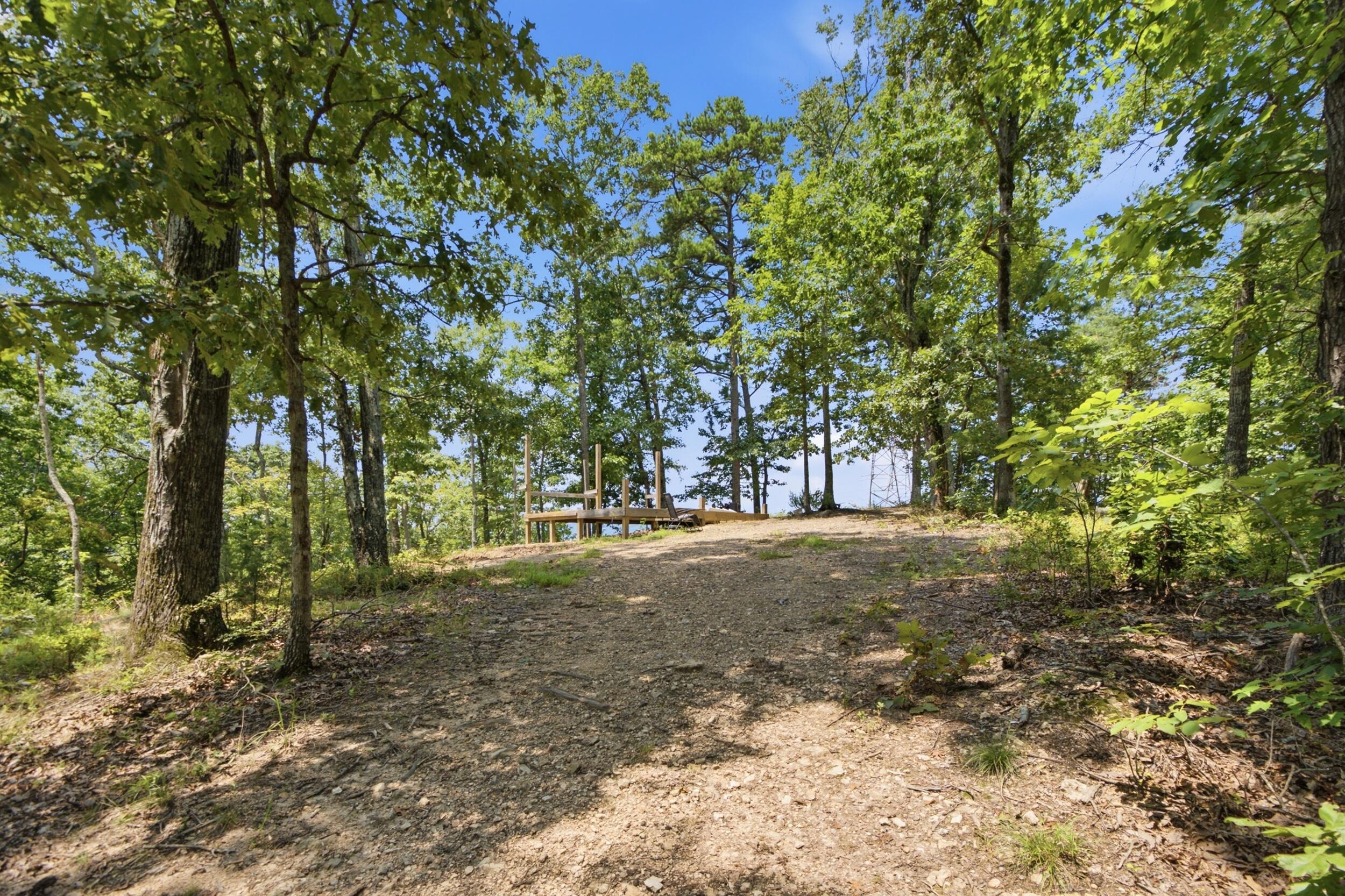 0 Pete Graham Road Jasper, TN 37347 - Photo 3 of 23 001_dsc07430