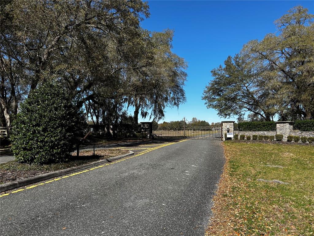 0 Northwest 464b Morriston, FL 32668 - Photo 2 of 20