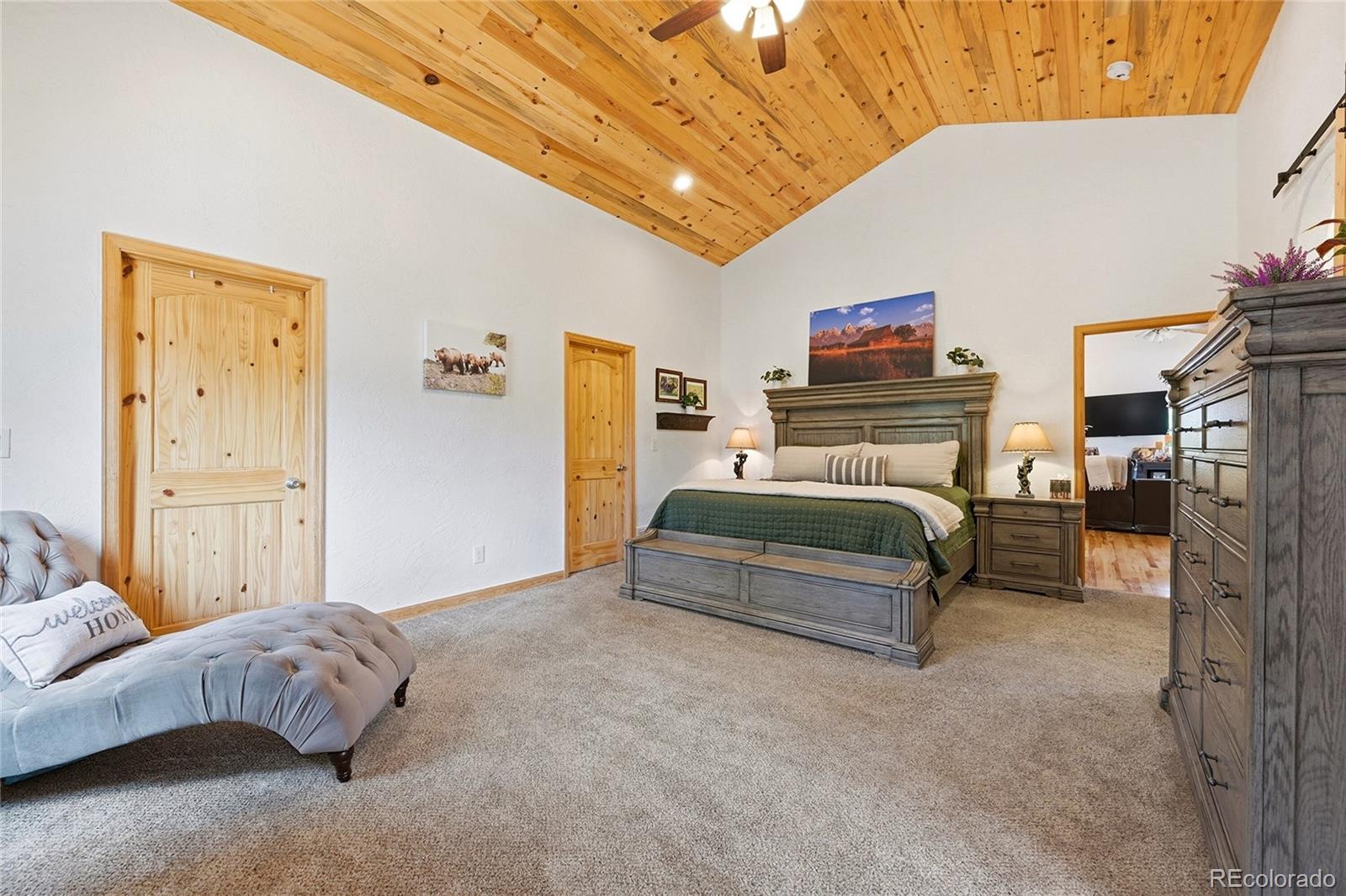 705 Gold Flake Terrace Bailey, CO 80421 - Photo 20 of 48