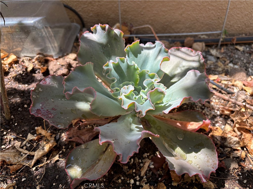 37 Peony Irvine, CA 92618 - Photo 25 of 56 a vase of flowers