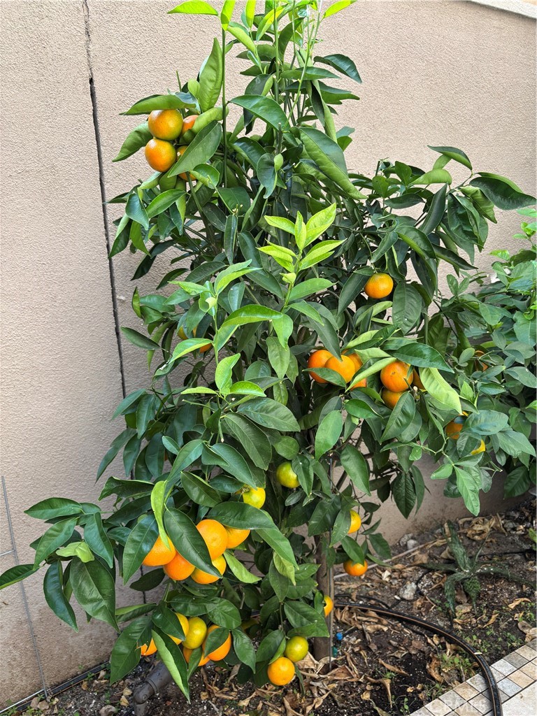 37 Peony Irvine, CA 92618 - Photo 55 of 56