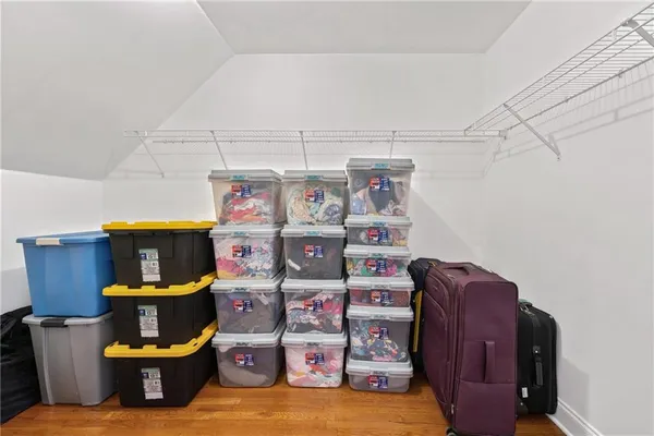 a view of a forest with a street