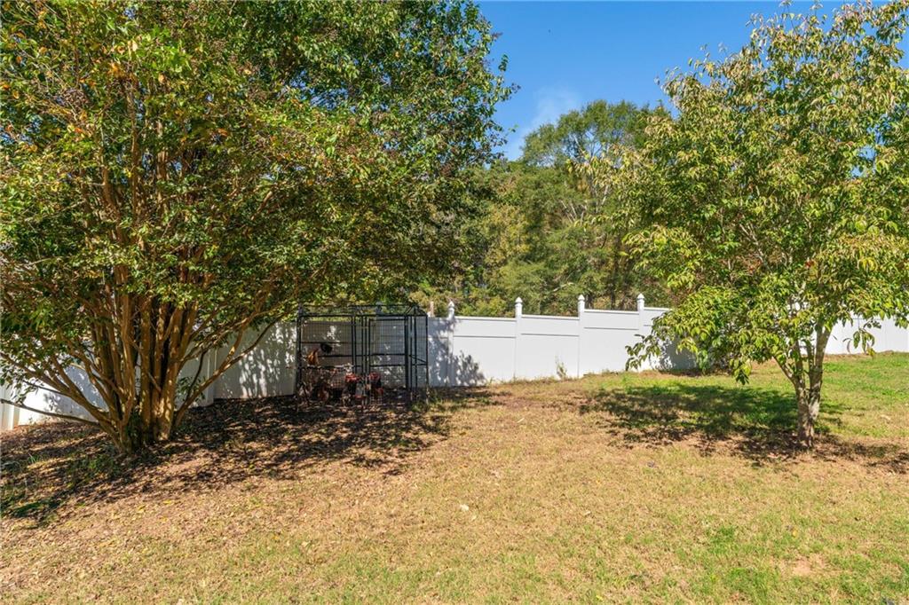 422 Blessings Lane Nicholson, GA 30565 - Photo 71 of 90 a view of a backyard