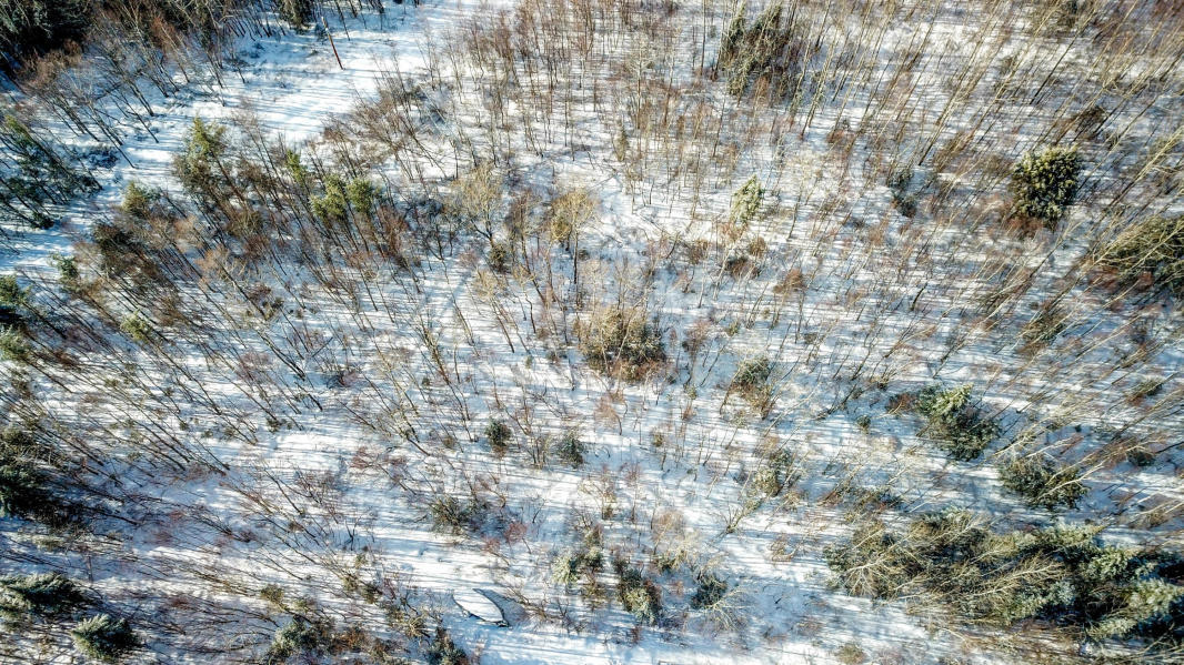 914 Averill Road Springfield, ME 04487 - Photo 9 of 16 Another Shot