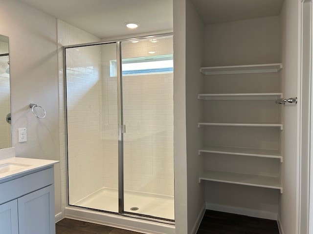 311 Darwin Place Lockhart, TX 78644 - Photo 8 of 16 Primary Bath with Walkin shower and shelving