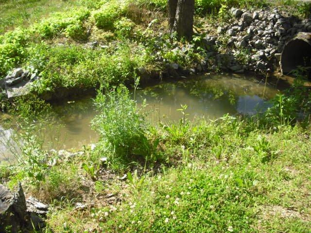 3201 St Johns Road Frankfort, KY 40601 - Photo 24 of 54 Photo 24
