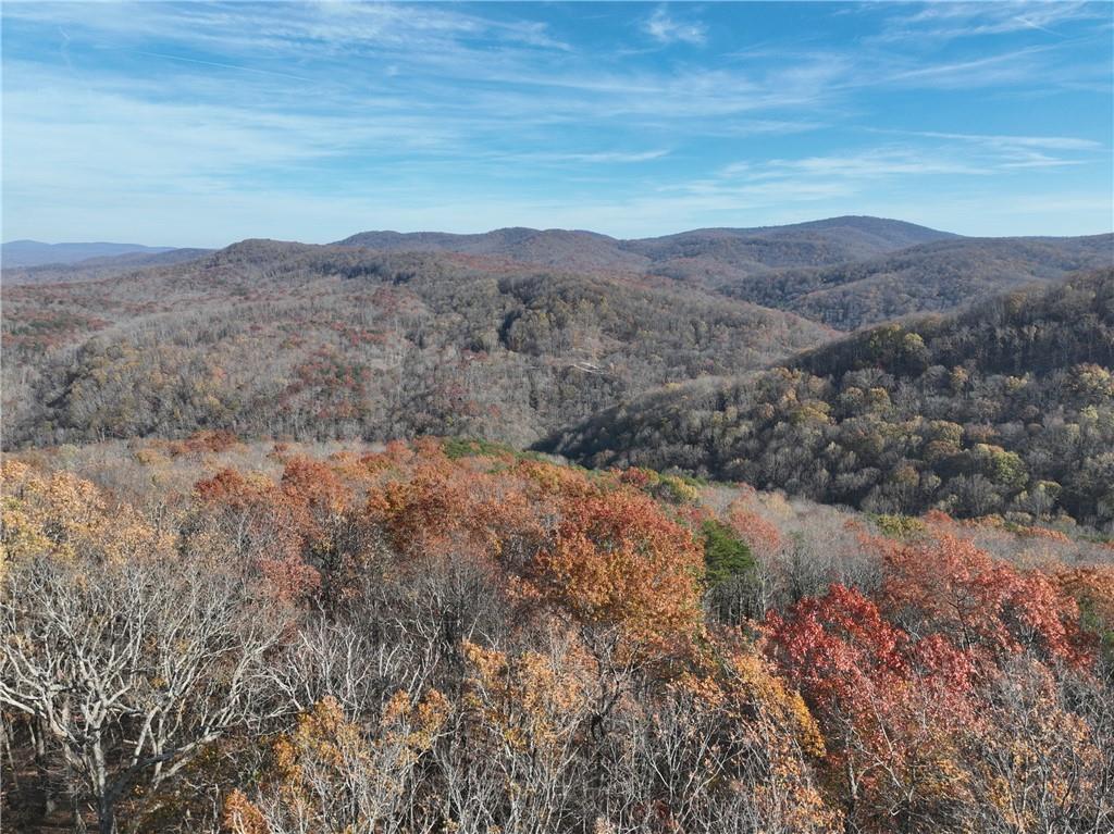 274 Andes Ridge Talking Rock, GA 30175 - Photo 1 of 61 a view of mountains and valleys