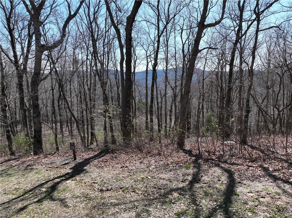 274 Andes Ridge Talking Rock, GA 30175 - Photo 15 of 61 a view of backyard with tree