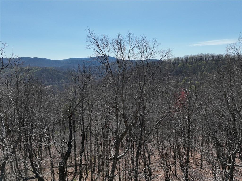 274 Andes Ridge Talking Rock, GA 30175 - Photo 18 of 61 a view of a forest with trees in the background