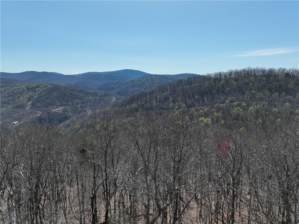 274 Andes Ridge Talking Rock, GA 30175 - Photo 19 of 61 a view of city and mountain