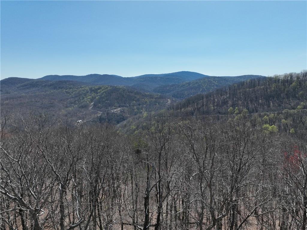 274 Andes Ridge Talking Rock, GA 30175 - Photo 20 of 61 a view of a city with lush green forest