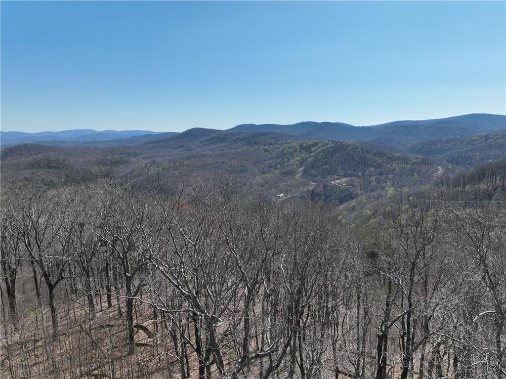 274 Andes Ridge Talking Rock, GA 30175 - Photo 21 of 61 a view of a mountain range with trees in the background
