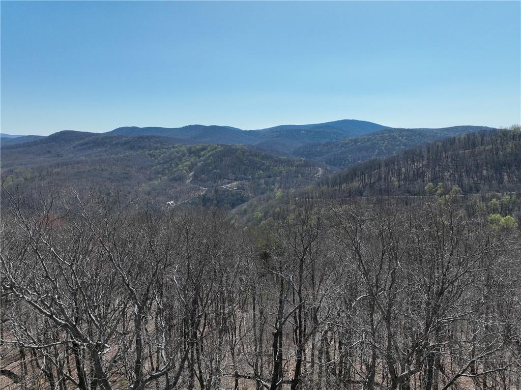 274 Andes Ridge Talking Rock, GA 30175 - Photo 22 of 61 a view of mountain and a mountain