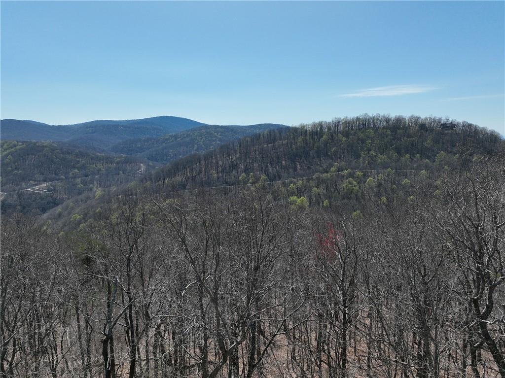 274 Andes Ridge Talking Rock, GA 30175 - Photo 23 of 61 a view of city and mountain