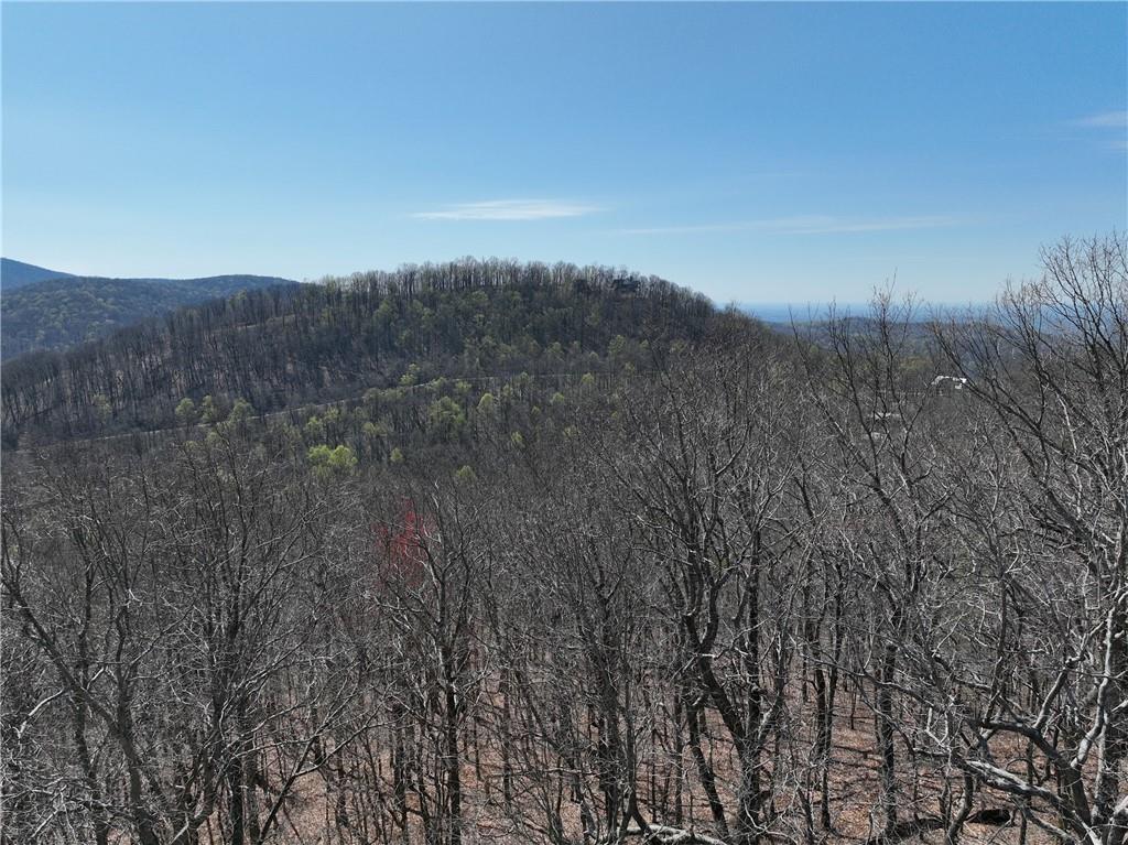 274 Andes Ridge Talking Rock, GA 30175 - Photo 24 of 61 a view of city and mountain