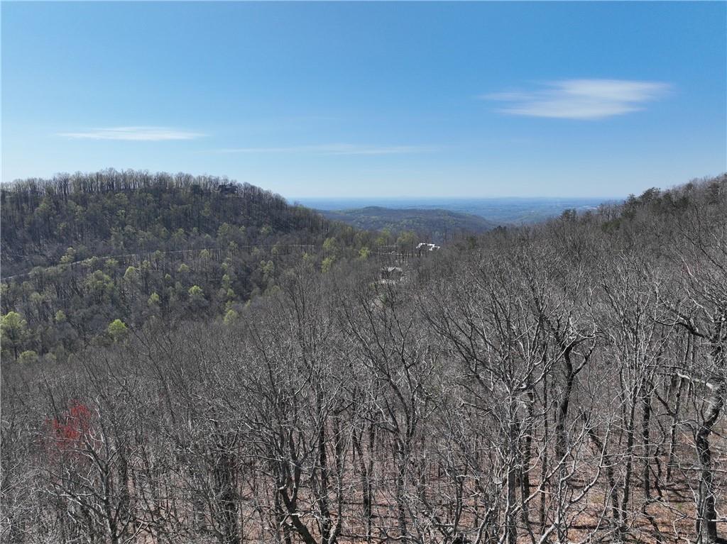 274 Andes Ridge Talking Rock, GA 30175 - Photo 25 of 61 a view of a city with lush green forest