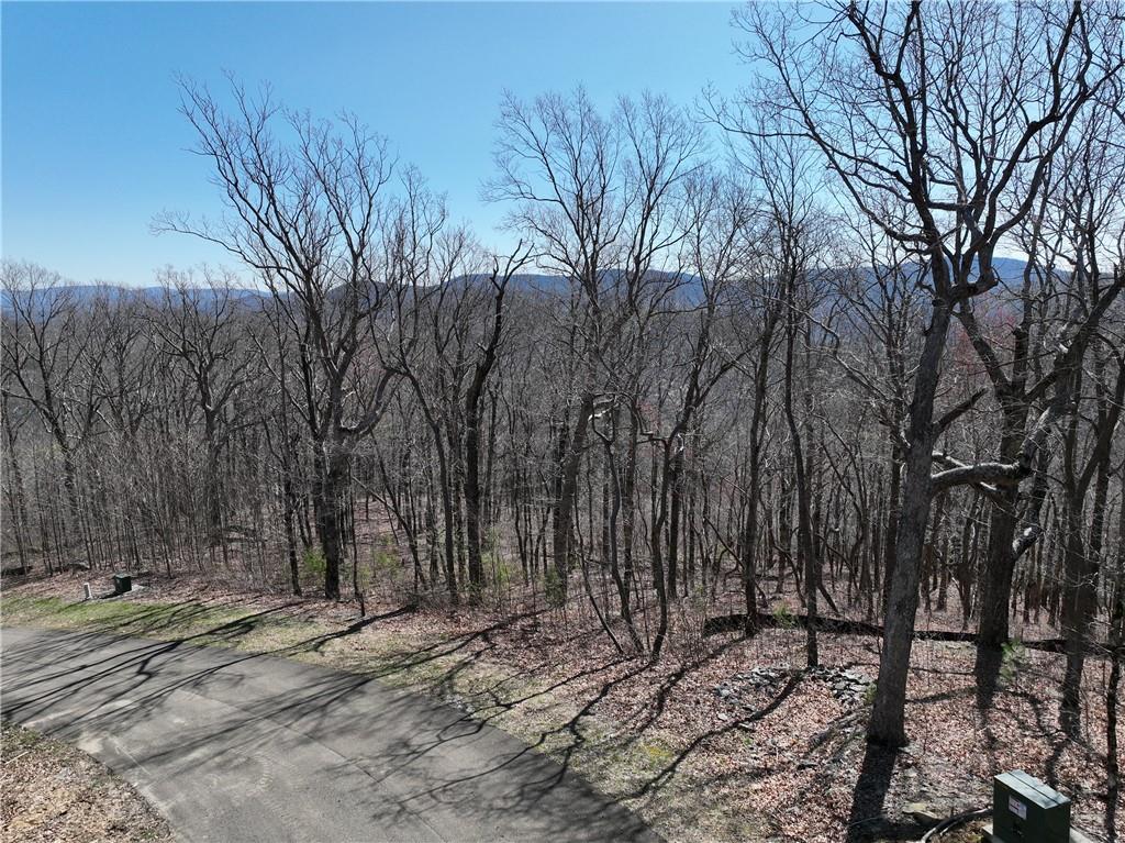 274 Andes Ridge Talking Rock, GA 30175 - Photo 26 of 61 a view of a backyard with large trees