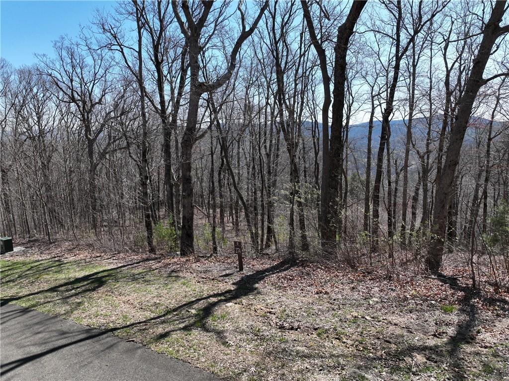 274 Andes Ridge Talking Rock, GA 30175 - Photo 28 of 61 a backyard of a house with lots of trees