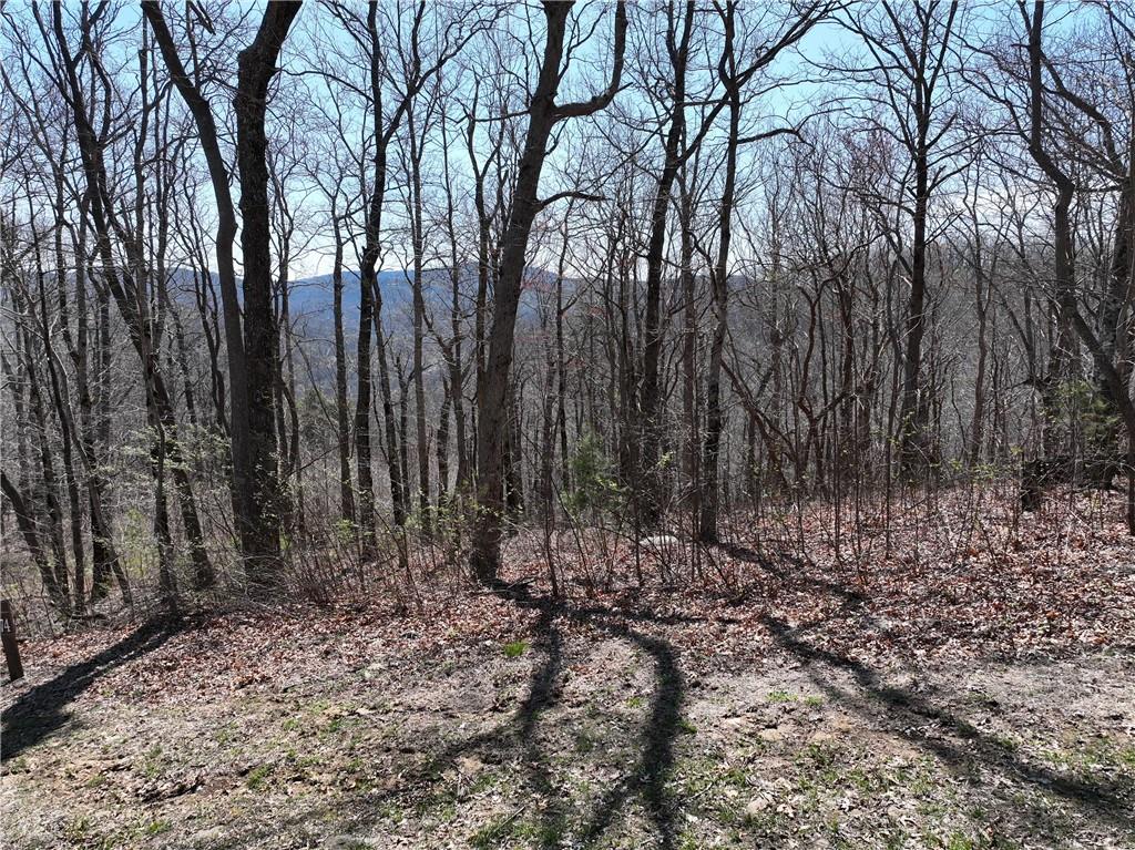 274 Andes Ridge Talking Rock, GA 30175 - Photo 30 of 61 a view of outdoor space with lots of trees