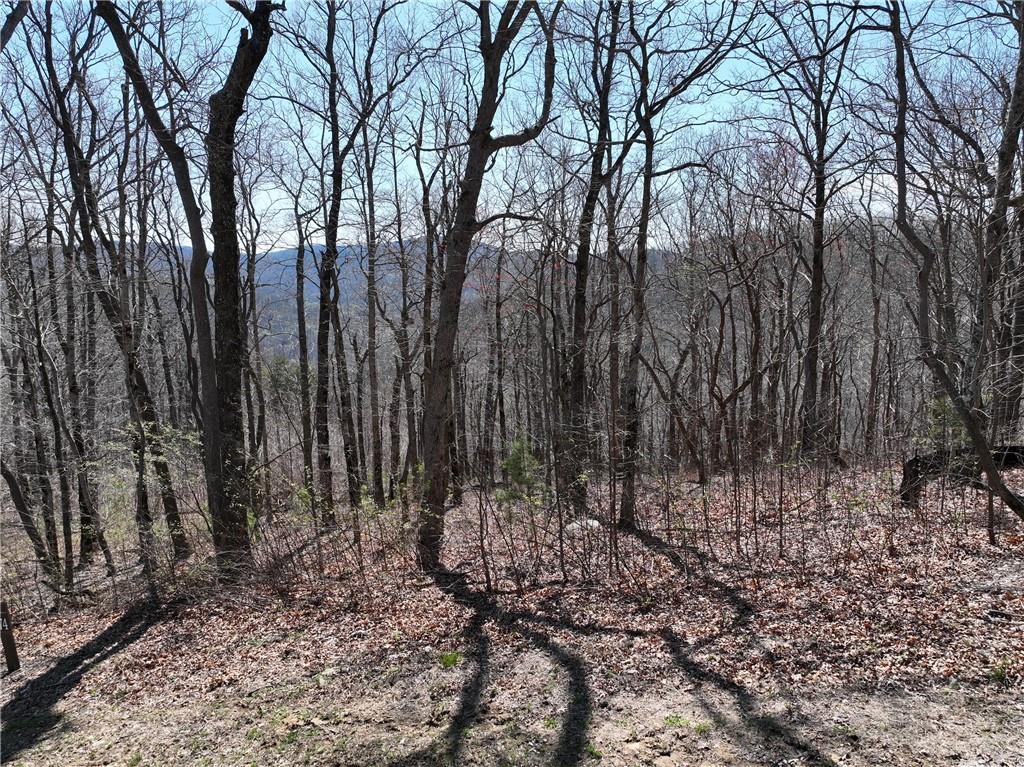 274 Andes Ridge Talking Rock, GA 30175 - Photo 3 of 61 a view of outdoor space with lots of trees