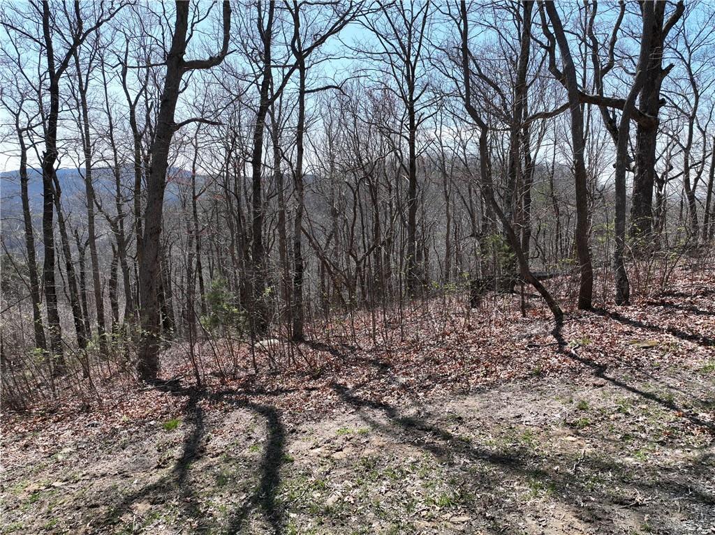274 Andes Ridge Talking Rock, GA 30175 - Photo 31 of 61 a view of outdoor space with lots of trees
