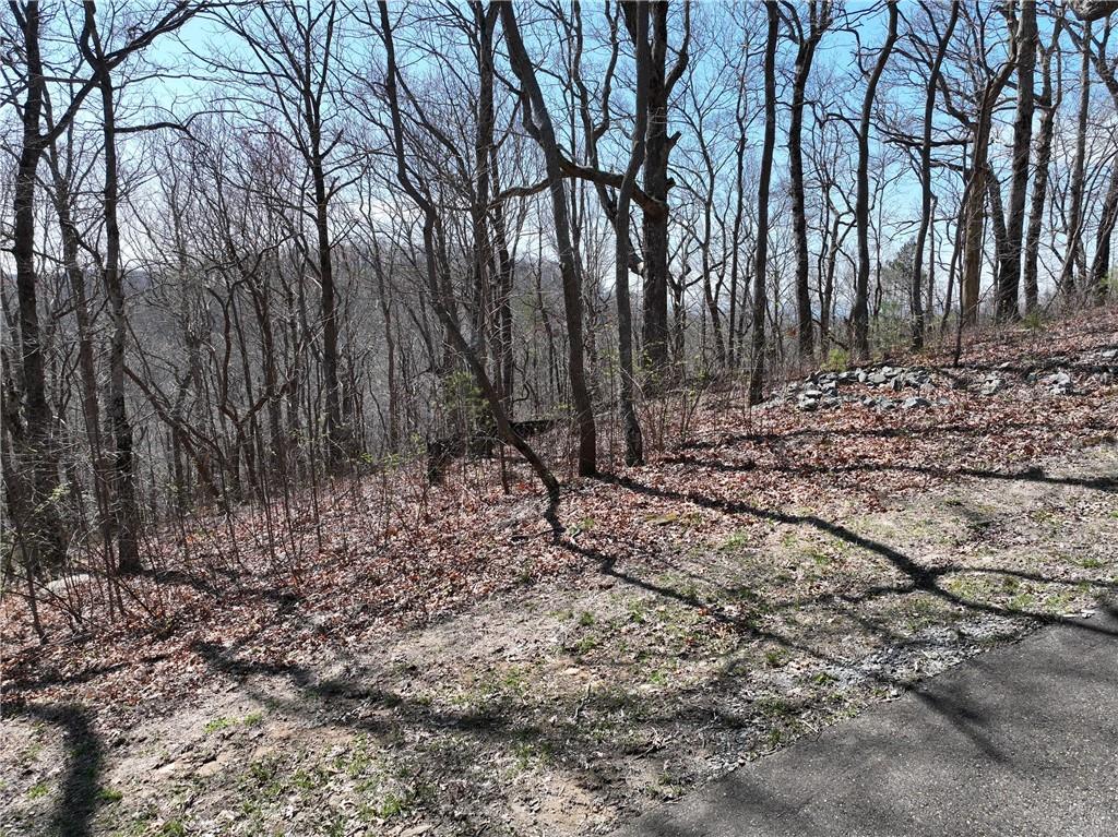 274 Andes Ridge Talking Rock, GA 30175 - Photo 32 of 61 a view of a forest with trees