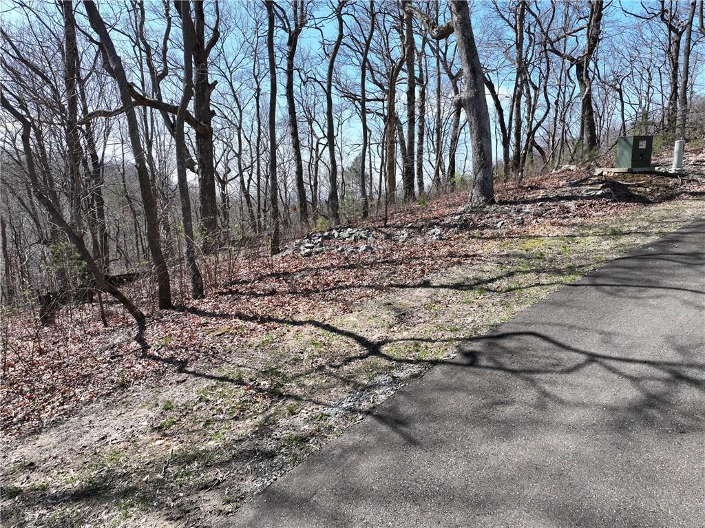 274 Andes Ridge Talking Rock, GA 30175 - Photo 33 of 61 a view of a backyard of the house