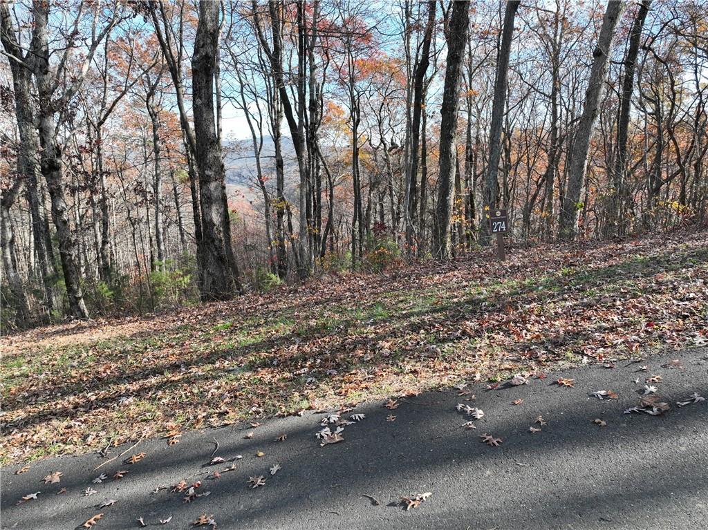274 Andes Ridge Talking Rock, GA 30175 - Photo 34 of 61 a view of backyard with green space
