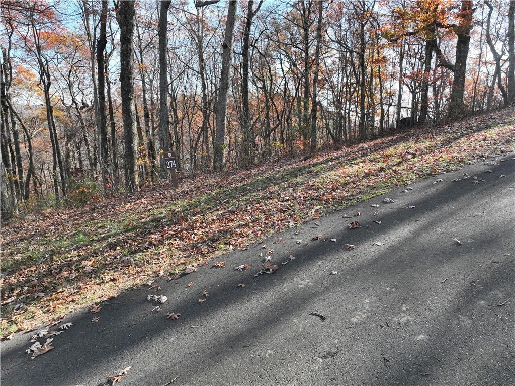 274 Andes Ridge Talking Rock, GA 30175 - Photo 35 of 61
