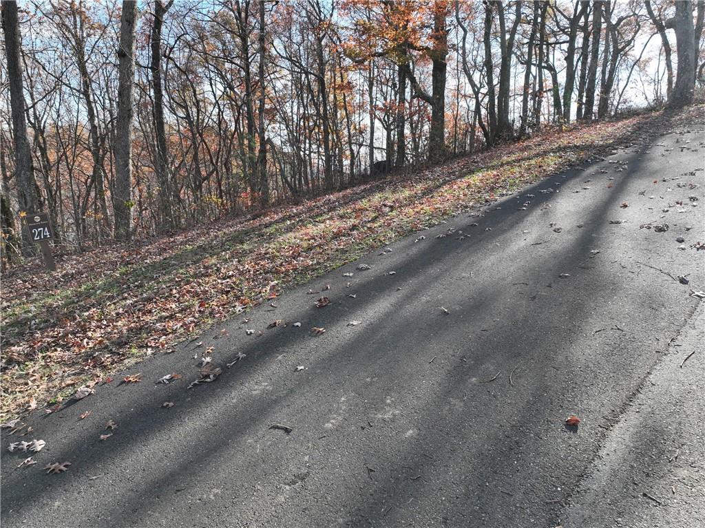 274 Andes Ridge Talking Rock, GA 30175 - Photo 36 of 61 a view of a road with trees in the background