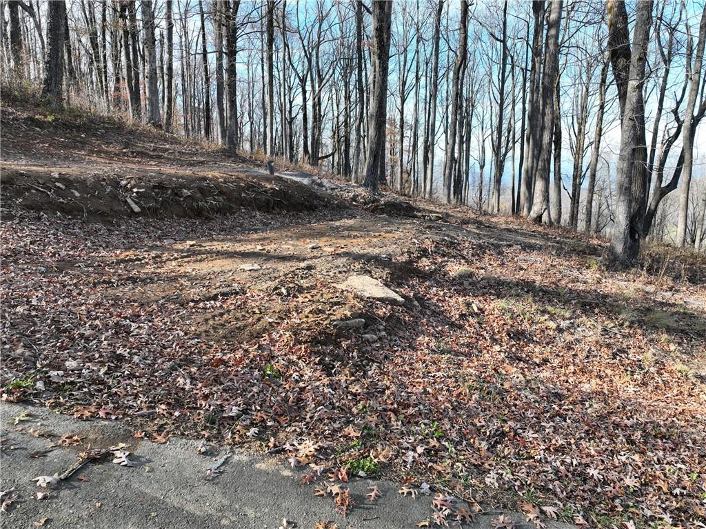 274 Andes Ridge Talking Rock, GA 30175 - Photo 37 of 61 a view of a backyard of the house