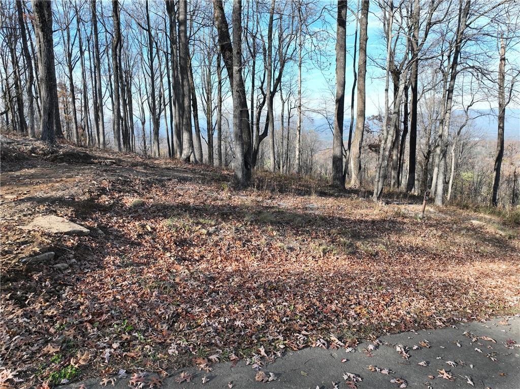 274 Andes Ridge Talking Rock, GA 30175 - Photo 38 of 61 a view of outdoor space with deck and tree