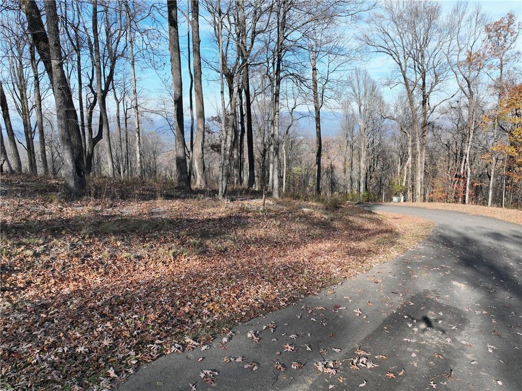 274 Andes Ridge Talking Rock, GA 30175 - Photo 39 of 61 a view of dirt field with trees