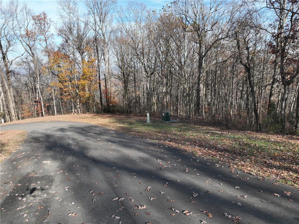 274 Andes Ridge Talking Rock, GA 30175 - Photo 40 of 61 a view of outdoor space with trees