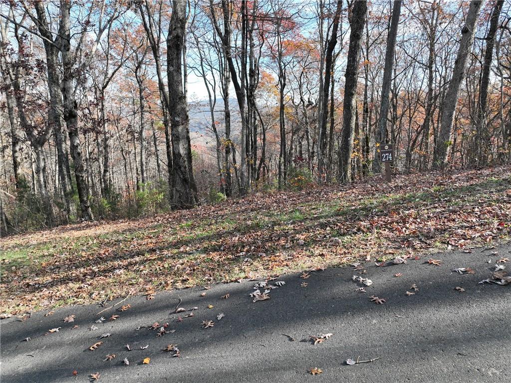 274 Andes Ridge Talking Rock, GA 30175 - Photo 42 of 61 a view of road with trees