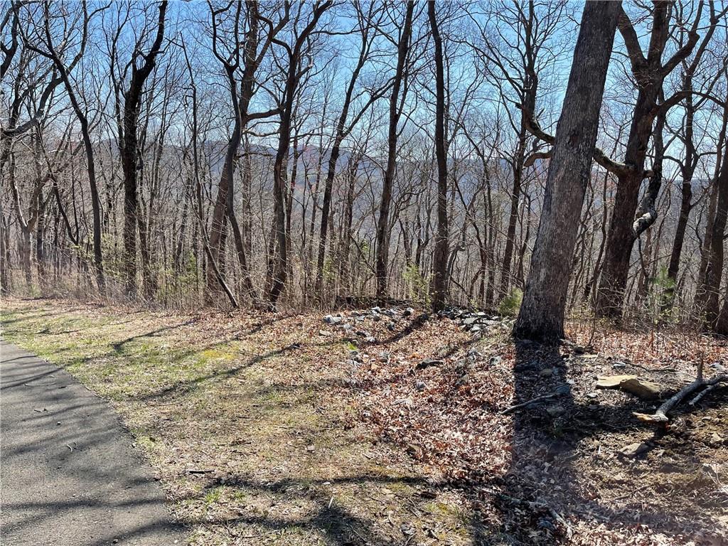 274 Andes Ridge Talking Rock, GA 30175 - Photo 43 of 61
