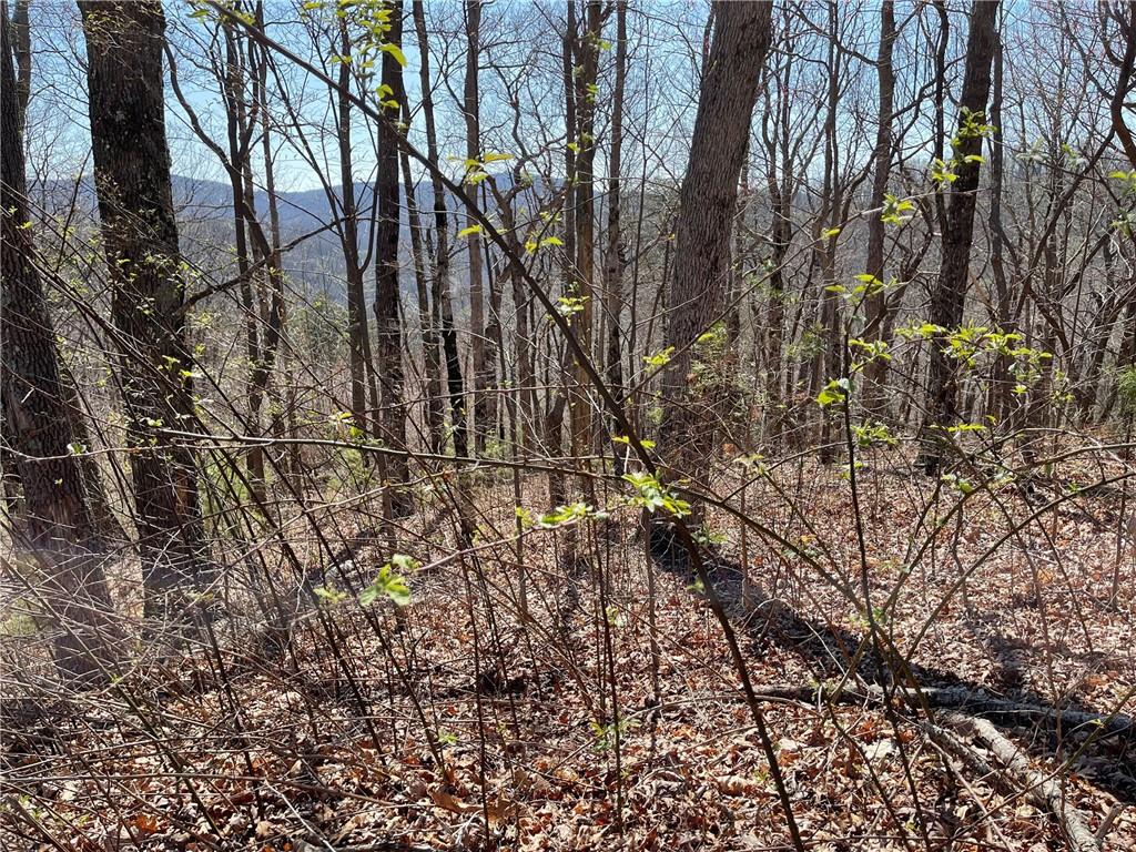 274 Andes Ridge Talking Rock, GA 30175 - Photo 45 of 61 a backyard of a house with lots of green space