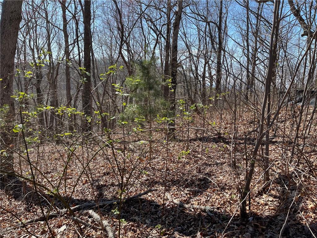274 Andes Ridge Talking Rock, GA 30175 - Photo 46 of 61 a view of a yard with lots of bushes