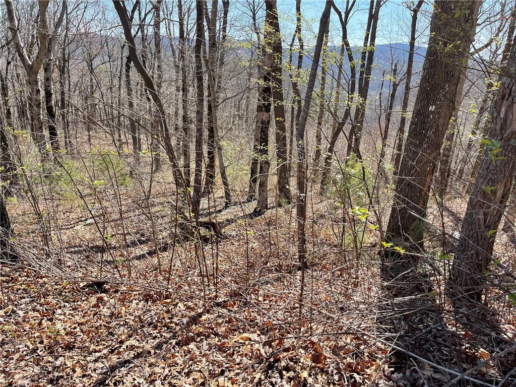 274 Andes Ridge Talking Rock, GA 30175 - Photo 47 of 61