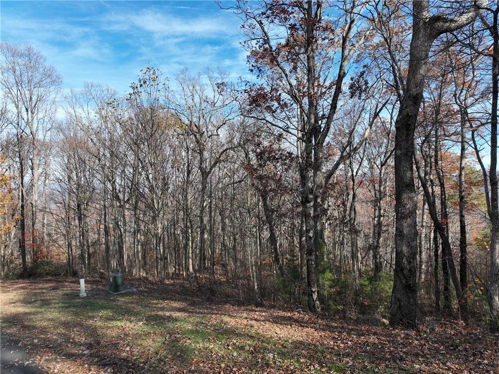 274 Andes Ridge Talking Rock, GA 30175 - Photo 48 of 61 a view of a yard with trees