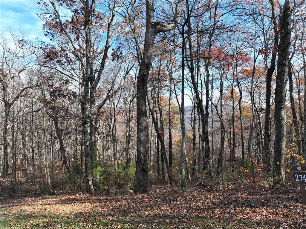 274 Andes Ridge Talking Rock, GA 30175 - Photo 49 of 61 a view of outdoor space with lots of trees